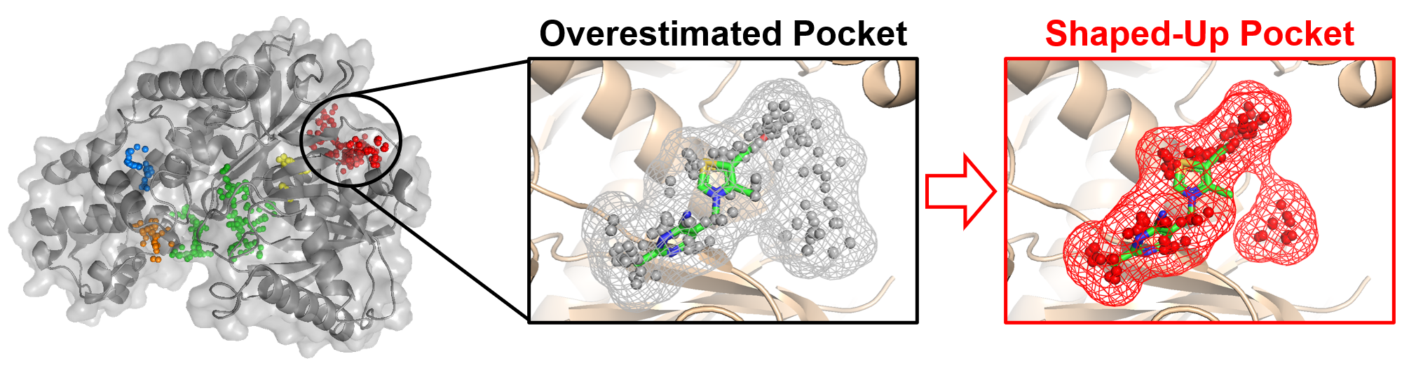 Protein Binding Pockets: Structure, Dynamics and AI-Based Prediction
